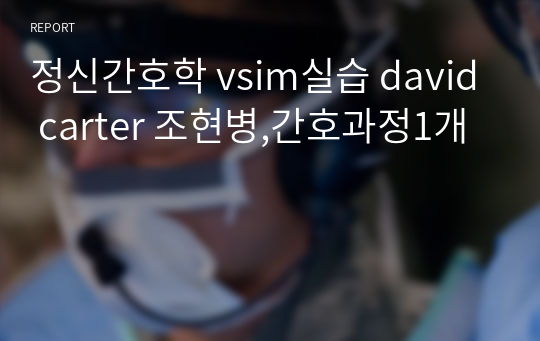 정신간호학 vsim실습 david carter 조현병,간호과정1개