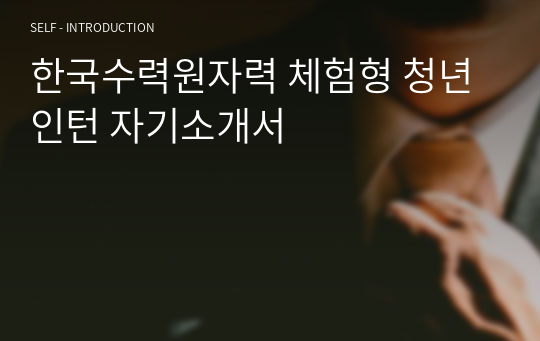 한국수력원자력 체험형 청년인턴 자기소개서