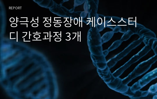 양극성 정동장애 케이스스터디 간호과정 3개