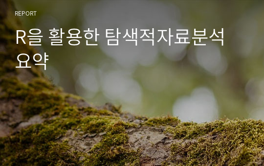 R을 활용한 탐색적자료분석 요약