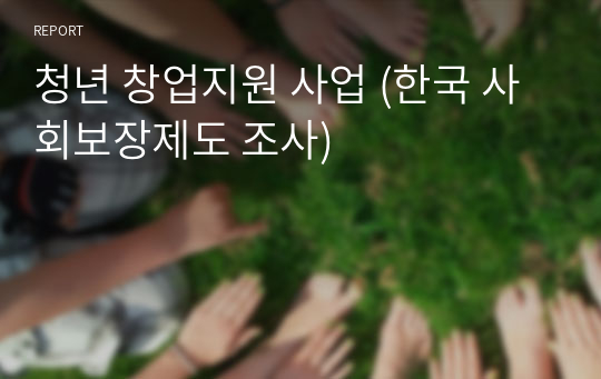 청년 창업지원 사업 (한국 사회보장제도 조사)