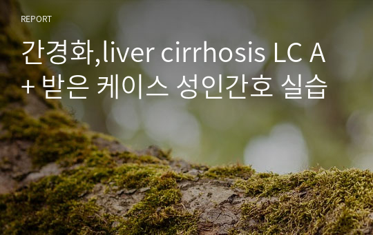 간경화,liver cirrhosis LC A+ 받은 케이스 성인간호 실습