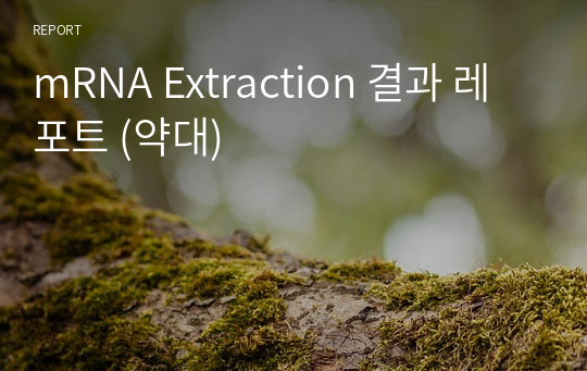 mRNA Extraction 결과 레포트 (약대)