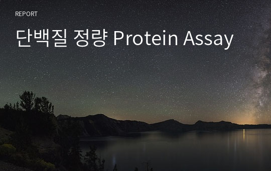 단백질 정량 Protein Assay