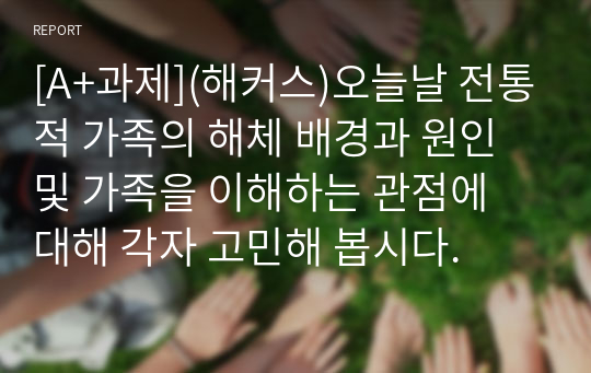 [A+과제](해커스)오늘날 전통적 가족의 해체 배경과 원인 및 가족을 이해하는 관점에 대해 각자 고민해 봅시다.