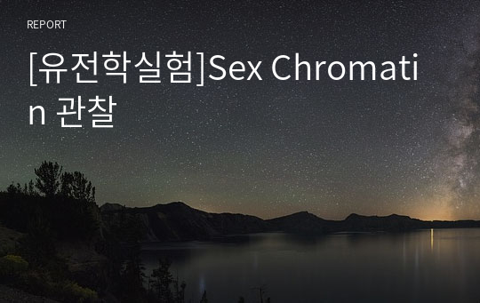[유전학실험]Sex Chromatin 관찰