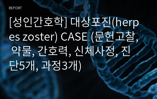 [성인간호학] 대상포진(herpes zoster) CASE (문헌고찰, 약물, 간호력, 신체사정, 진단5개, 과정3개)