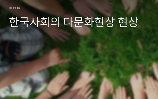 한국사회의 다문화현상 현상