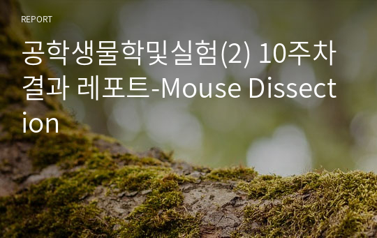 공학생물학및실험(2) 10주차 결과 레포트-Mouse Dissection
