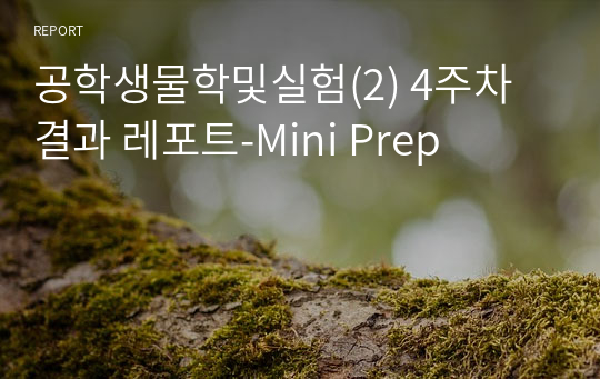공학생물학및실험(2) 4주차 결과 레포트-Mini Prep