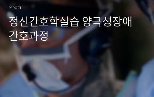 정신간호학실습 양극성장애 간호과정