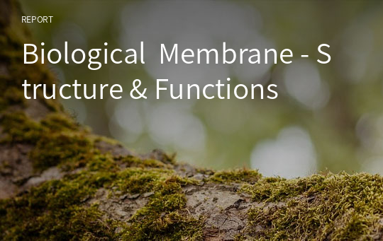 Biological  Membrane - Structure &amp; Functions