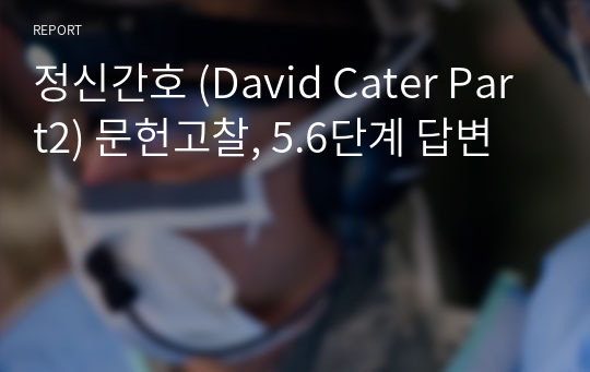 정신간호 (David Cater Part2) 문헌고찰, 5.6단계 답변