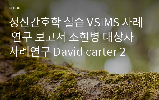 정신간호학 실습 VSIMS 사례 연구 보고서 조현병 대상자 사례연구 David carter 2