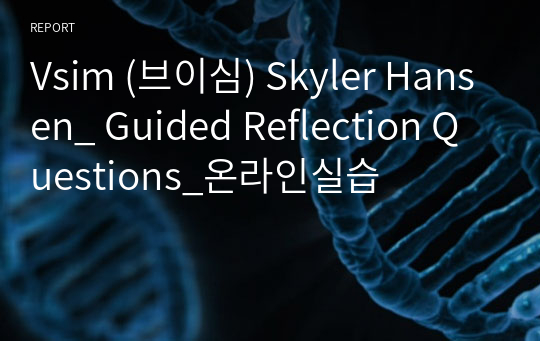 Vsim (브이심) Skyler Hansen_ Guided Reflection Questions_온라인실습