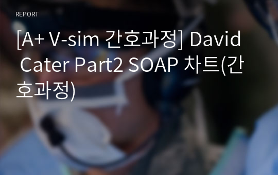 [A+ V-sim 간호과정] David Cater Part2 SOAP 차트(간호과정)