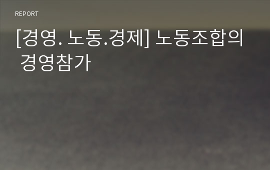 [경영. 노동.경제] 노동조합의 경영참가