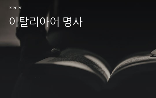 이탈리아어 명사