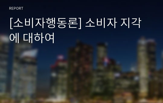 [소비자행동론] 소비자 지각에 대하여