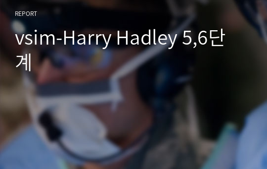 vsim-Harry Hadley 5,6단계