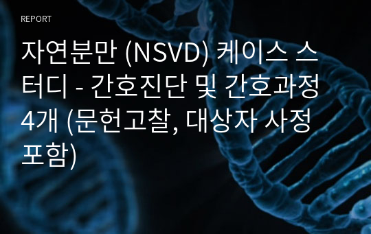 자연분만 (NSVD) 케이스 스터디 - 간호진단 및 간호과정 4개 (문헌고찰, 대상자 사정 포함)