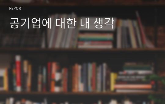 공기업에 대한 내 생각