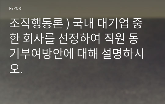 조직행동론 ) 국내 대기업 한 회사 선정 직원 동기부여방안에 대해 설명