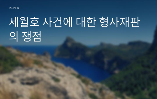 세월호 사건에 대한 형사재판의 쟁점