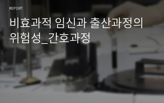 비효과적 임신과 출산과정의 위험성_간호과정