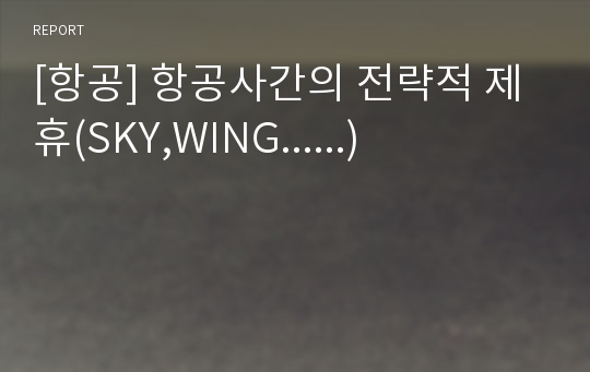 [항공] 항공사간의 전략적 제휴(SKY,WING......)