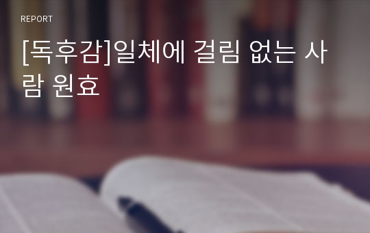 [독후감]일체에 걸림 없는 사람 원효