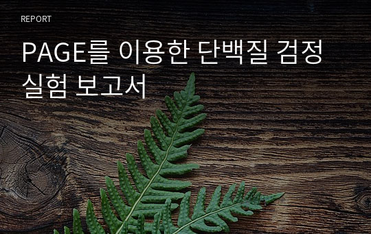 PAGE를 이용한 단백질 검정 실험 보고서