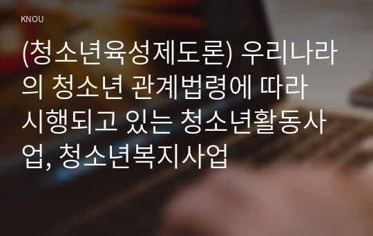 (청소년육성제도론) 우리나라의 청소년 관계법령에 따라 시행되고 있는 청소년활동사업, 청소년복지사업