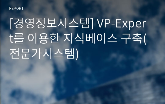 [경영정보시스템] VP-Expert를 이용한 지식베이스 구축(전문가시스템)