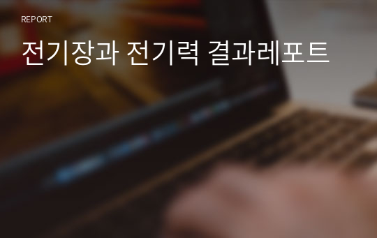 전기장과 전기력 결과레포트