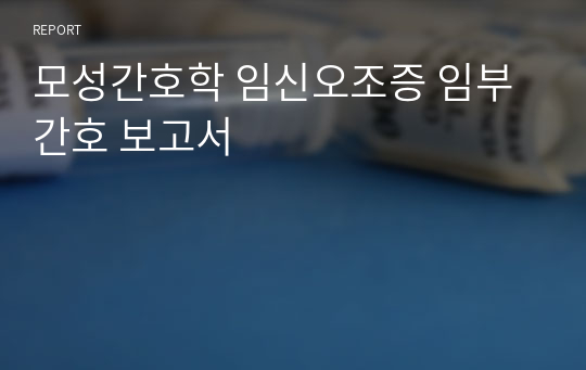 모성간호학 임신오조증 임부 간호 보고서