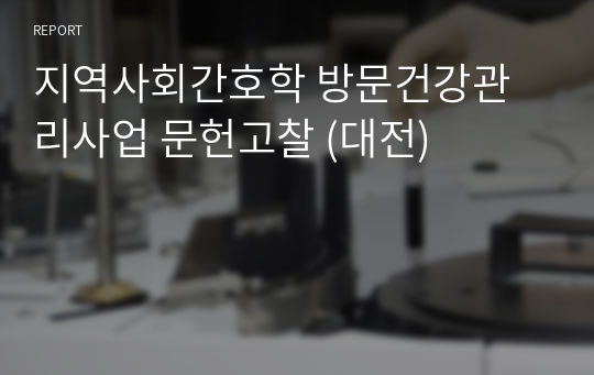지역사회간호학 방문건강관리사업 문헌고찰 (대전)