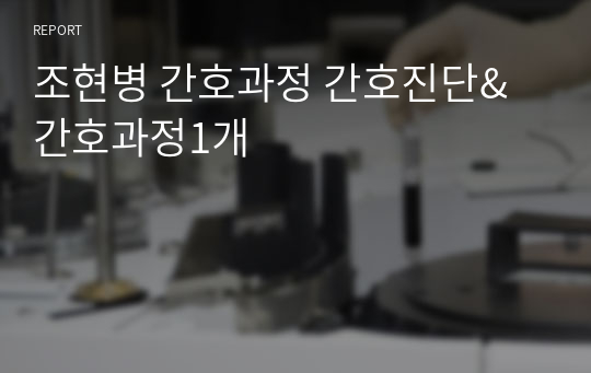 조현병 간호과정 간호진단&amp;간호과정1개