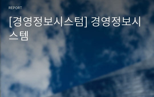 [경영정보시스텀] 경영정보시스템