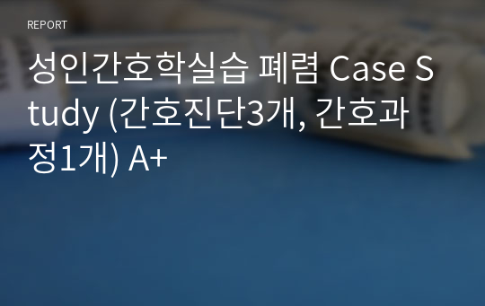 성인간호학실습 폐렴 Case Study (간호진단3개, 간호과정1개) A+