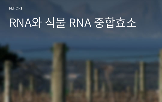 RNA와 식물 RNA 중합효소