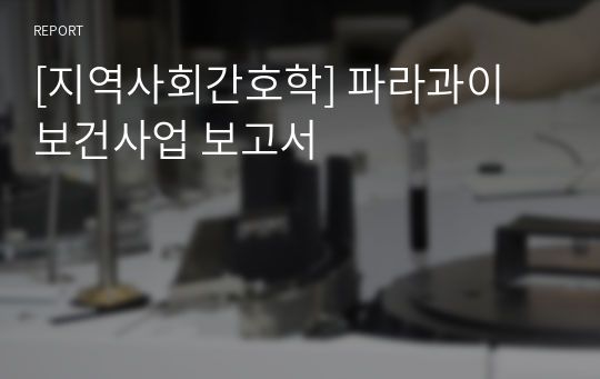 [지역사회간호학] 파라과이 보건사업 보고서