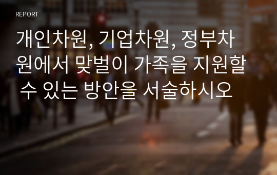 개인차원, 기업차원, 정부차원에서 맞벌이 가족을 지원할 수 있는 방안을 서술하시오