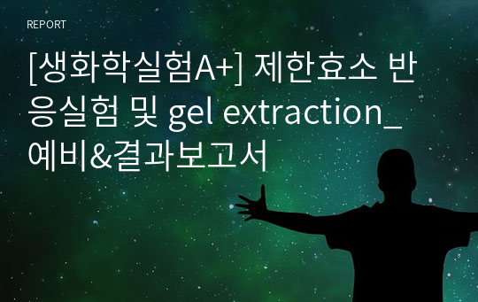 [생화학실험A+] 제한효소 반응실험 및 gel extraction_예비&결과보고서