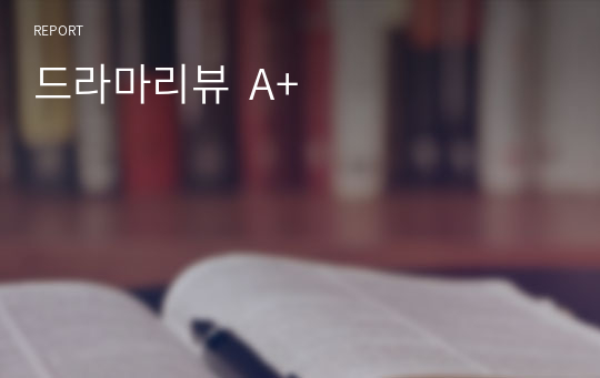 드라마리뷰  A+