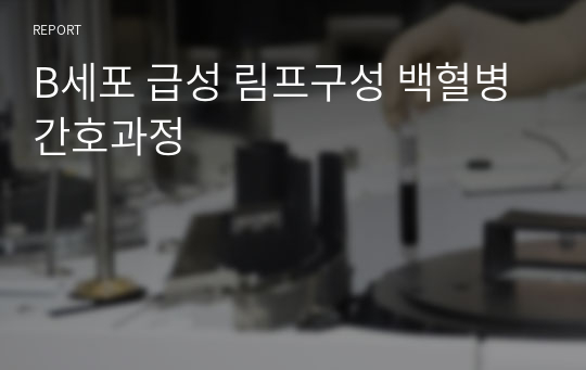 B세포 급성 림프구성 백혈병 간호과정