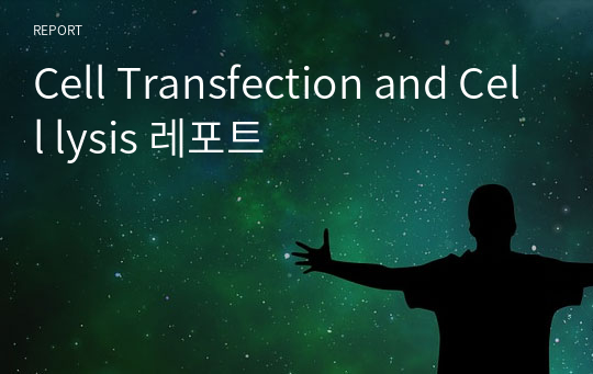 Cell Transfection and Cell lysis 레포트