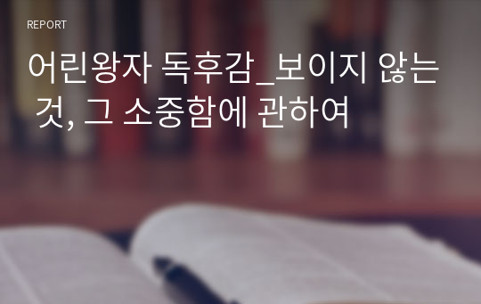 어린왕자 독후감_보이지 않는 것, 그 소중함에 관하여