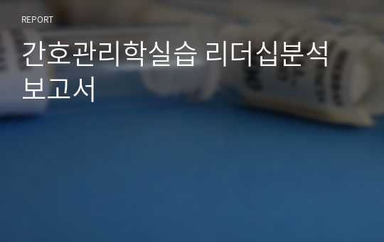 간호관리학실습 리더십분석보고서