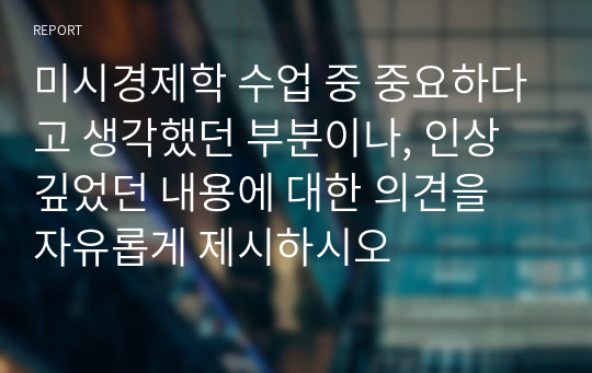 미시경제학 수업 중 중요하다고 생각했던 부분이나, 인상 깊었던 내용에 대한 의견을 자유롭게 제시하시오